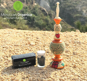 Kohl Powder for Eyes with Wooden Applicator