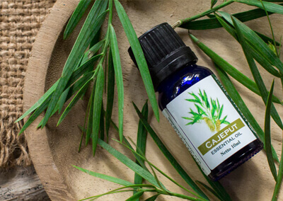 Cajeput Essential Oil