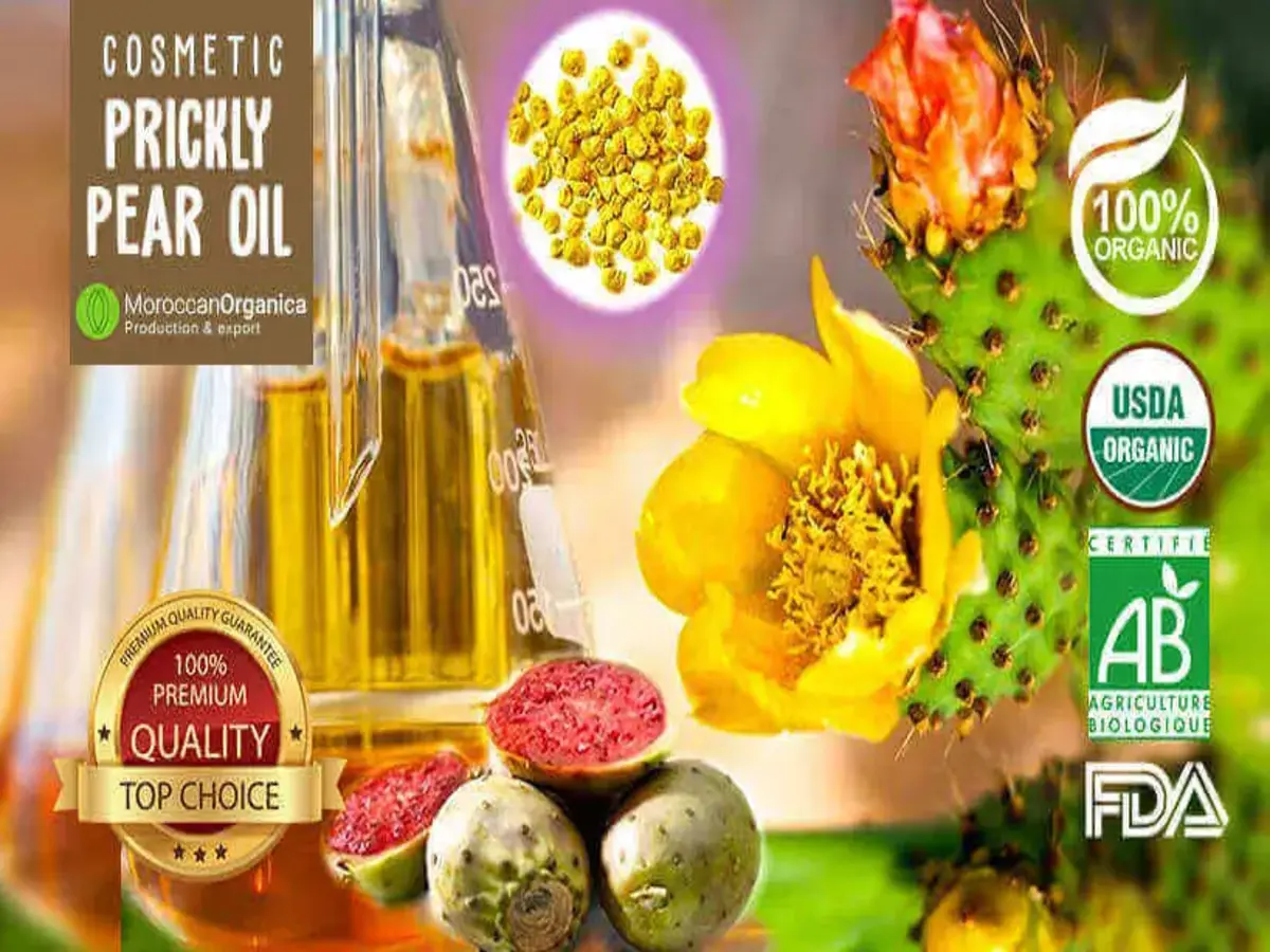 Organic Prickly Pear Seeds Oil Wholesale